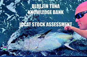 ICCAT Stock assessment